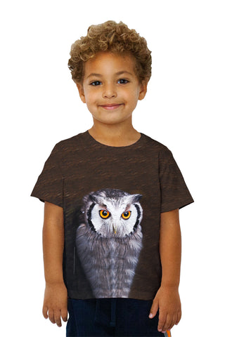 Kids Tectonic Owl