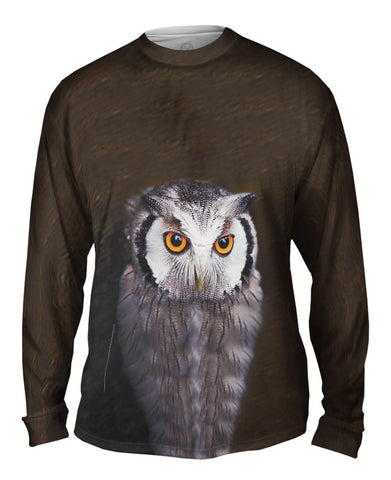 Tectonic Owl
