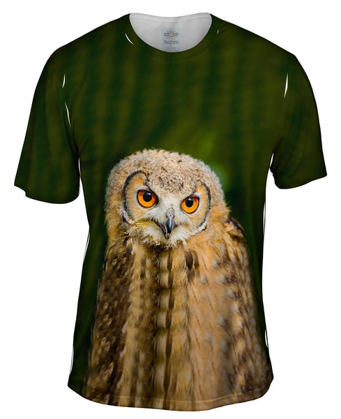 Baby Owl Ponder Mens T-Shirt