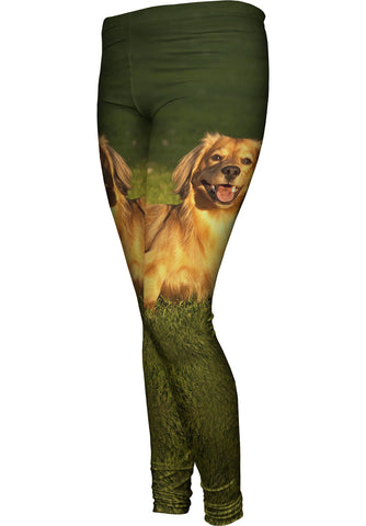 Dachshund Laying Around