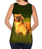 Dachshund Laying Around