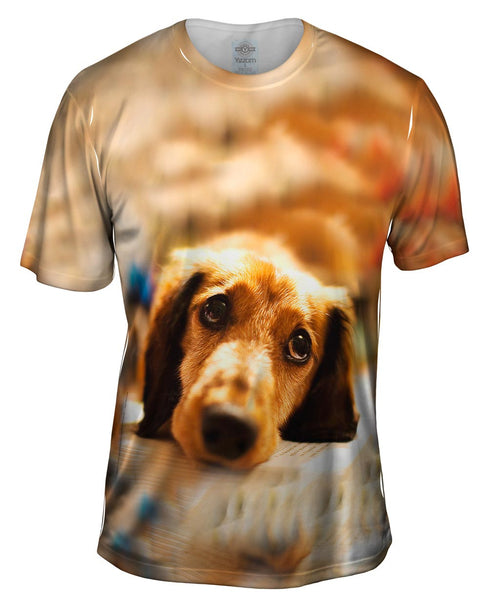 Adorable Dachshund Puppy Dog Eyes Mens T-Shirt