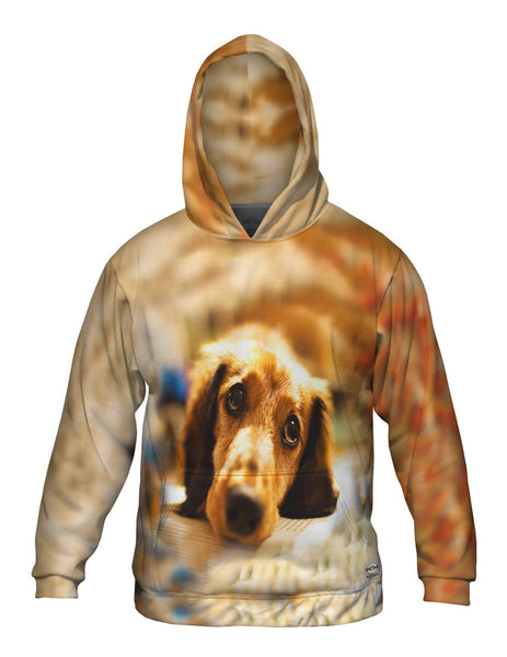 Adorable Dachshund Puppy Dog Eyes Mens Hoodie Sweater