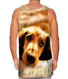 Adorable Dachshund Puppy Dog Eyes