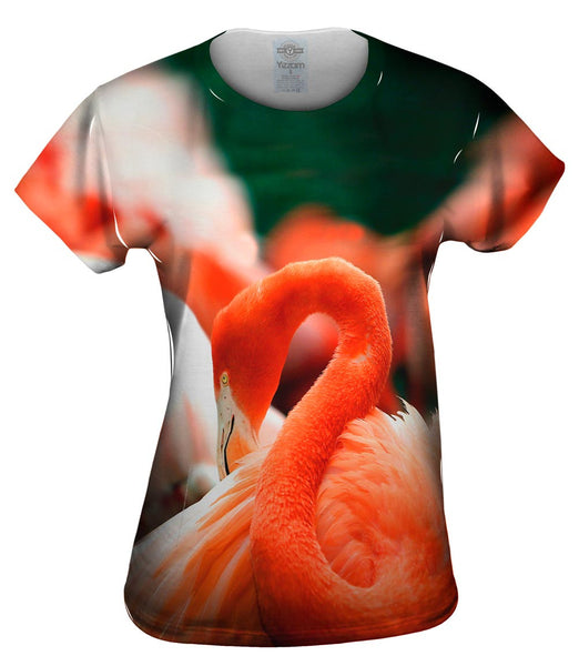 Classic Flamingo Feathers Womens Top