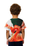 Kids Classic Flamingo Feathers