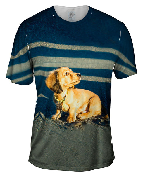 Tiny Dachshund Woof Mens T-Shirt