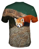 Red Panda Wonder