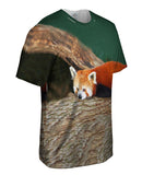Red Panda Wonder