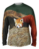 Red Panda Wonder