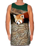 Red Panda Wonder