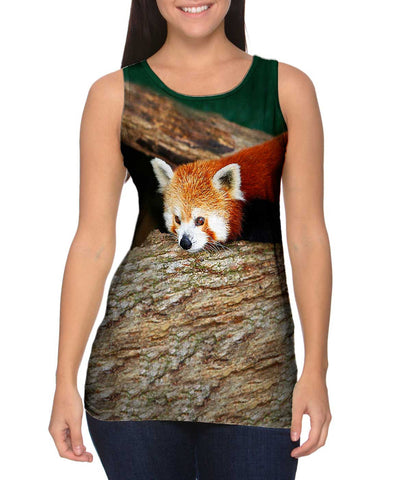 Red Panda Wonder