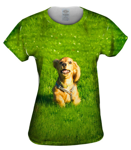 Galloping Dachshund