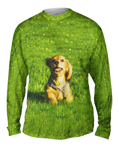 Galloping Dachshund