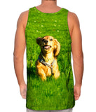 Galloping Dachshund