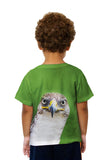 Kids Fierce Falcon