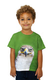 Kids Fierce Falcon
