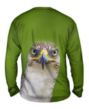 Fierce Falcon