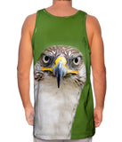 Fierce Falcon