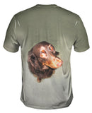 Long Haired Dachshund Glare