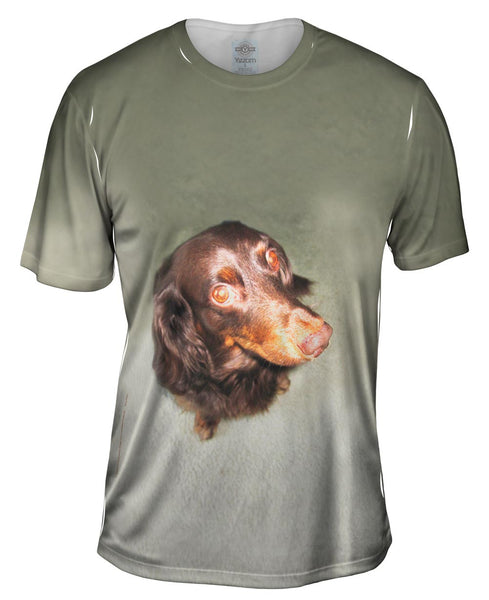 Long Haired Dachshund Glare Mens T-Shirt