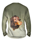 Long Haired Dachshund Glare