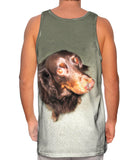 Long Haired Dachshund Glare