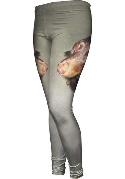Long Haired Dachshund Glare&nbsp;Womens Leggings