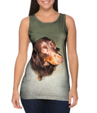 Long Haired Dachshund Glare