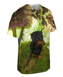 Black Dachshund Backyard