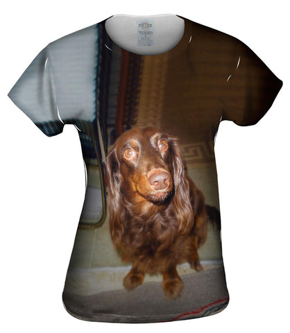 Careful Chocolate Dachshund