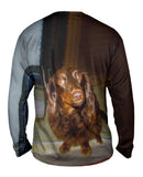 Careful Chocolate Dachshund