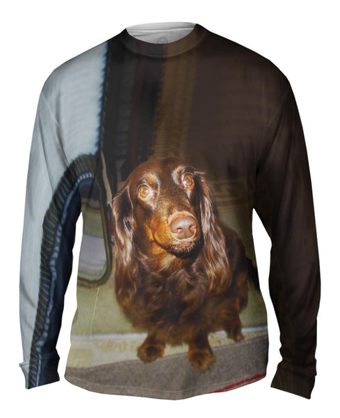 Careful Chocolate Dachshund&nbsp;Mens Long Sleeve