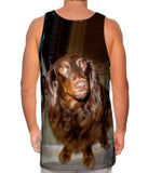 Careful Chocolate Dachshund