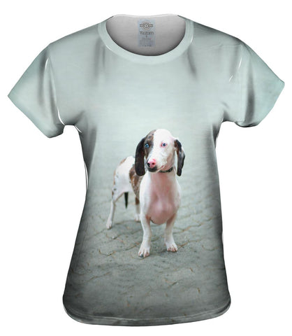 Fierce Blue Eyed Dachshund