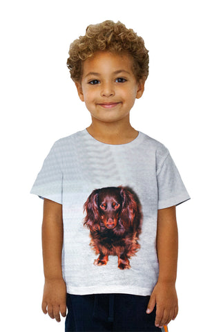 Kids Shy Brown Dachshund