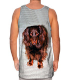 Shy Brown Dachshund