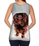 Shy Brown Dachshund