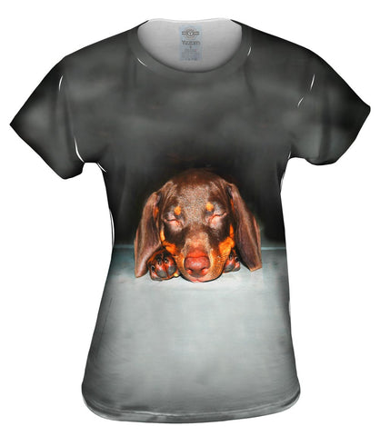 Dachshund Dreaming