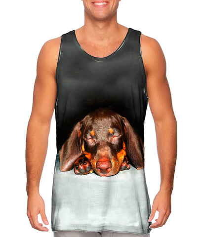 Dachshund Dreaming