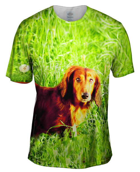 Dachshund In Grass Mens T-Shirt