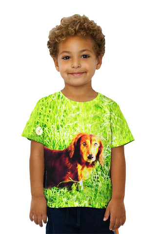 Kids Dachshund In Grass