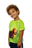 Kids Dachshund In Grass