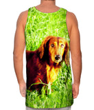 Dachshund In Grass