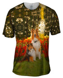Tender Border Collie