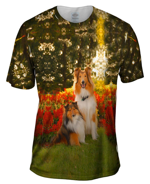 Tender Border Collie Mens T-Shirt