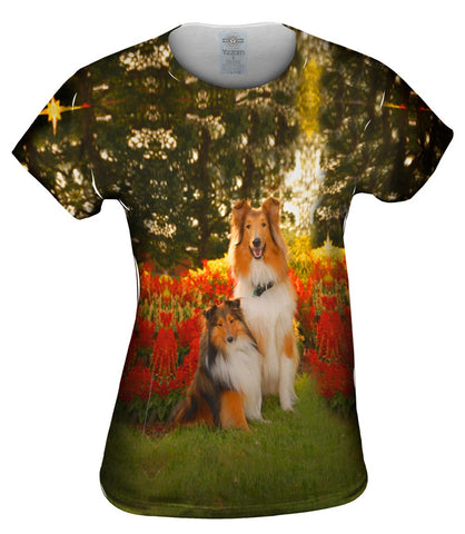 Tender Border Collie