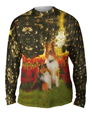 Tender Border Collie