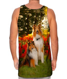 Tender Border Collie