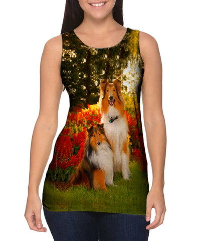 Tender Border Collie
